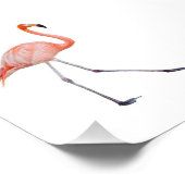 Roze Flamingo Foto Afdruk (Hoek)