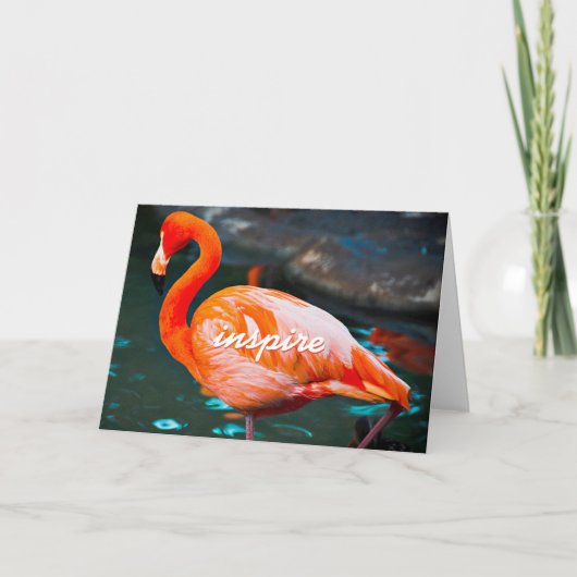 Roze Flamingo Foto inspireren Script Stijlvol Mode Kaart (Voorkant)