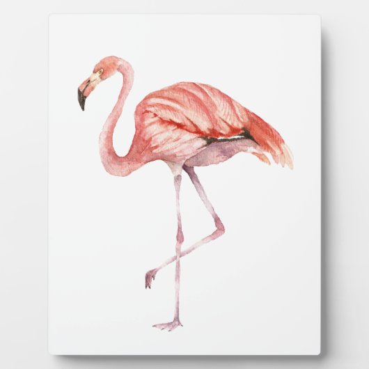 Roze Flamingo Fotoplaat (Voorkant)