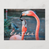 Roze Flamingo Friends Photo Besties Stijlvol scrip Briefkaart (Voorkant)