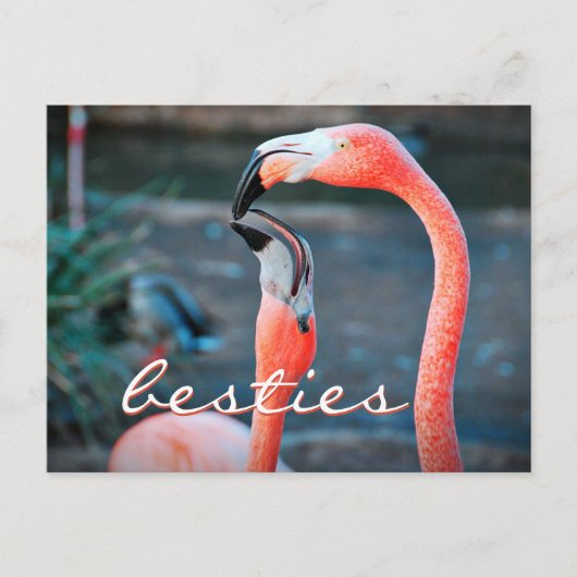 Roze Flamingo Friends Photo Besties Stijlvol scrip Briefkaart (Voorkant)