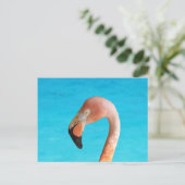 Roze flamingo gezicht tegen blauw water op briefkaart (Staand voorkant)