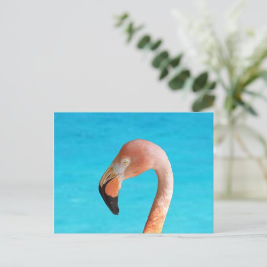 Roze flamingo gezicht tegen blauw water op briefkaart (Staand voorkant)