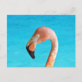Roze flamingo gezicht tegen blauw water op briefkaart (Voorkant)