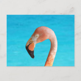 Roze flamingo gezicht tegen blauw water op briefkaart