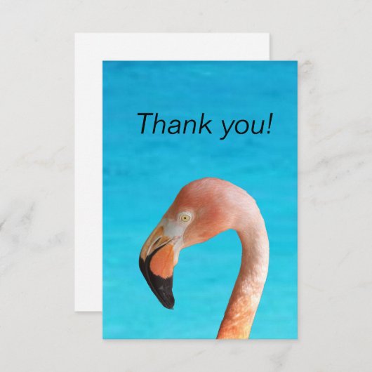 Roze flamingo gezicht tegen blauw water op een bedankkaart (Voorkant / Achterkant)