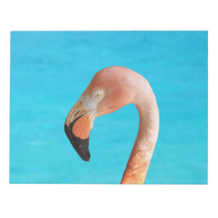 Roze flamingo gezicht tegen blauw water op een notitieblok