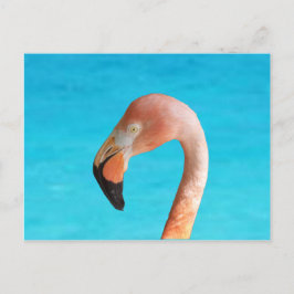 Roze flamingo gezicht tegen blauw water op feestdagenkaart