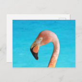 Roze flamingo gezicht tegen blauw water op feestdagenkaart (Voorkant / Achterkant)