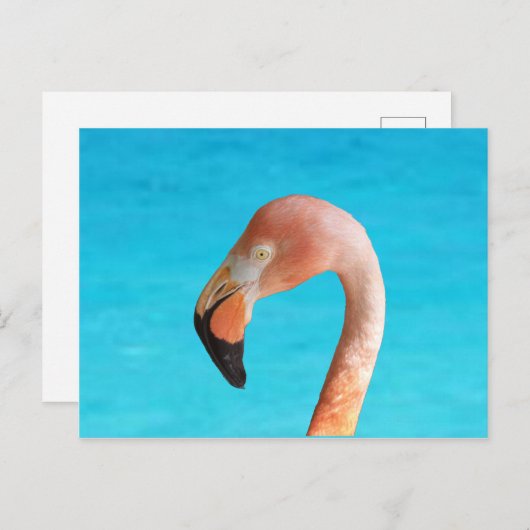 Roze flamingo gezicht tegen blauw water op feestdagenkaart (Voorkant / Achterkant)