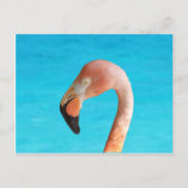 Roze flamingo gezicht tegen blauw water op feestdagenkaart (Voorkant)