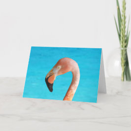 Roze flamingo gezicht tegen blauw water op kaart
