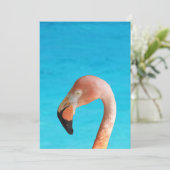 Roze flamingo gezicht tegen blauw water op kaart (Staand voorkant)