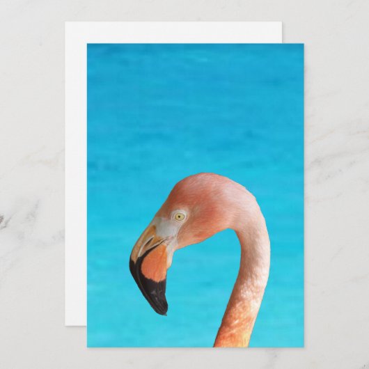 Roze flamingo gezicht tegen blauw water op kaart (Voorkant / Achterkant)