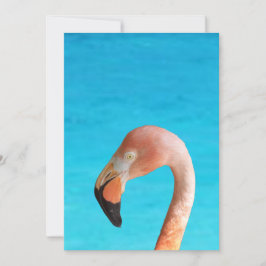 Roze flamingo gezicht tegen blauw water op kaart