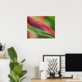 Roze Flamingo Heliconia (Heliconia chartacea), Hil Poster (Thuiskantoor)