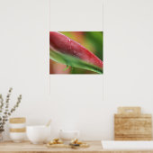 Roze Flamingo Heliconia (Heliconia chartacea), Hil Poster (Keuken)