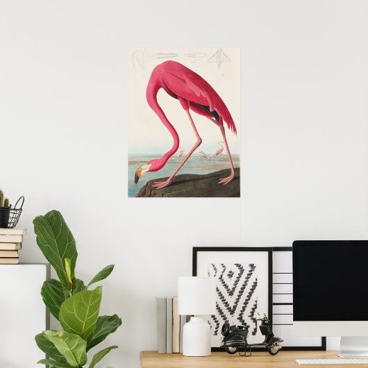 Roze Flamingo-illustratie Poster (Thuiskantoor)