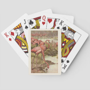 Roze Flamingo Illustratie Speelkaarten Vintage