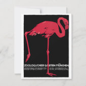roze flamingo in Duitsland dierentuin München (Voorkant)