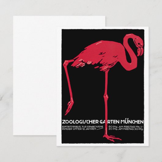 roze flamingo in Duitsland dierentuin München (Voorkant / Achterkant)