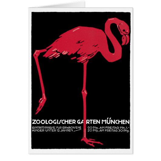 roze flamingo in Duitsland dierentuin München (Voorkant)