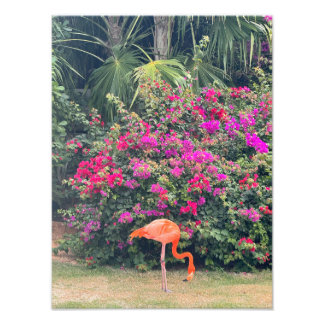 Roze Flamingo in het Tropisch Loof Foto Afdruk