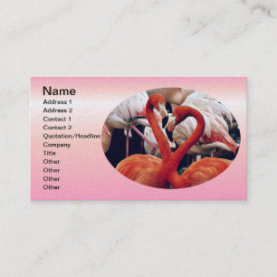 Roze Flamingo in Natuur Visitekaartje