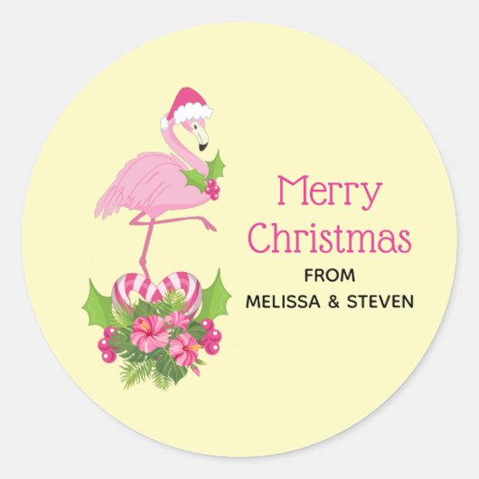 Roze flamingo in Santa Hat Whimsical Kerstmis Ronde Sticker (Voorkant)