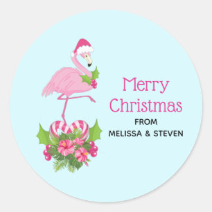 Roze flamingo in Santa Hat Whimsical Kerstmis Ronde Sticker