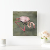 Roze Flamingo in waterklok Vierkante Klok (Huis)