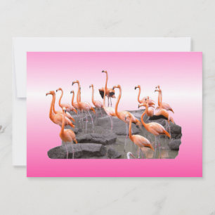 Roze Flamingo Invitation Kaart