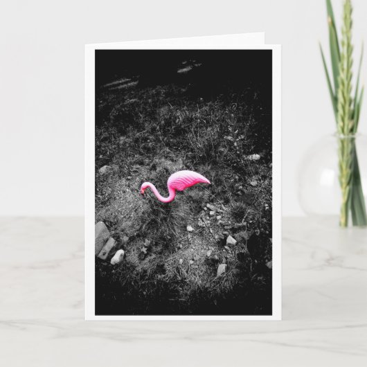 Roze Flamingo Kaart (Voorkant)