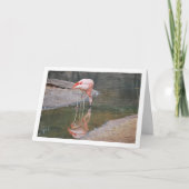 Roze Flamingo Kaart (Voorkant)