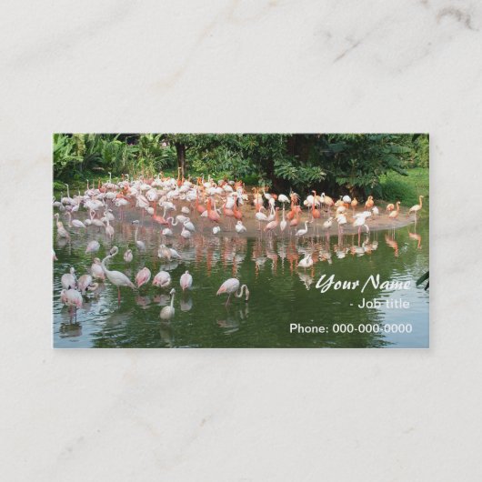 roze flamingo kudde visitekaartje (Voorkant)