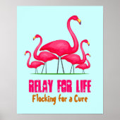 Roze Flamingo Lingo Poster (Voorkant)