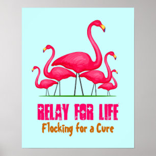 Roze Flamingo Lingo Poster