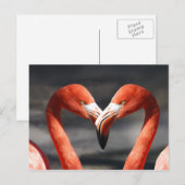 Roze Flamingo Love Briefkaart (Voorkant / Achterkant)