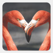 Roze Flamingo Love Sticker (Voorkant)