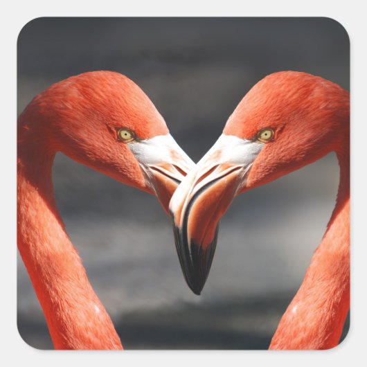 Roze Flamingo Love Sticker (Voorkant)