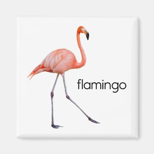 Roze Flamingo Magneet (Voorkant)