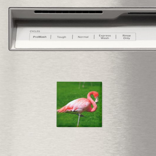 Roze Flamingo Magneet (Insitu (Vaatwasser))