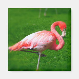 Roze Flamingo Magneet