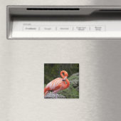 Roze Flamingo Magneet (Insitu (Vaatwasser))