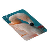 Roze Flamingo Magnet Magneet (Rechterzijde)