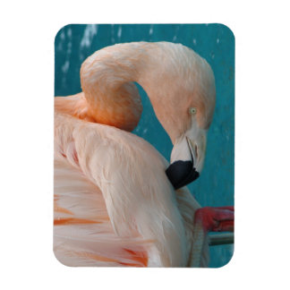 Roze Flamingo Magnet Magneet