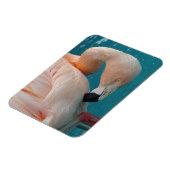 Roze Flamingo Magnet Magneet (Linkerzijde)