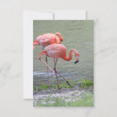 Roze Flamingo Notecard Bedankkaart (Voorkant)