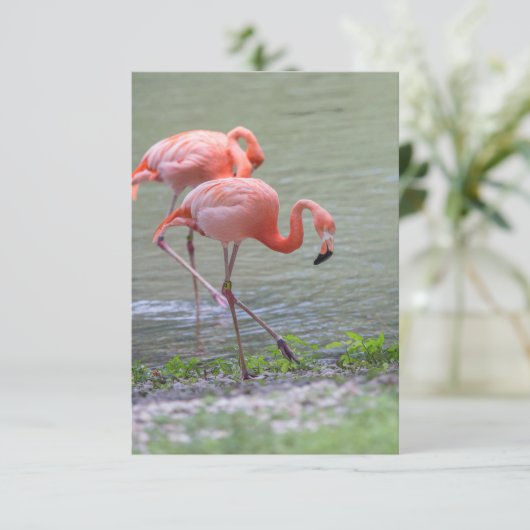 Roze Flamingo Notecard Bedankkaart (Staand voorkant)