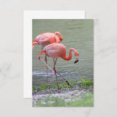 Roze Flamingo Notecard Bedankkaart (Voorkant / Achterkant)